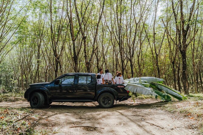 Full-Day Rescued Elephant Walk With Guide Tour in Khaolak - Good To Know