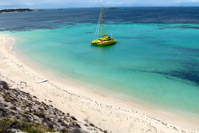 Full Day Sail to Rottnest Island From Fremantle - Good To Know