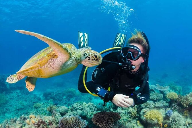 Full-Day Scuba Diving Experience in Alanya With Lunch and Pick Up - Good To Know