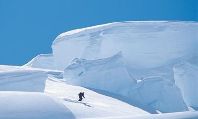 Full Day Ski the Tasman