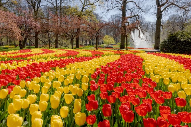 Full-Day Skip the Line Keukenhof and Canal Cruise From Amsterdam - Skip the Line: Time-Saving Entry to Keukenhof