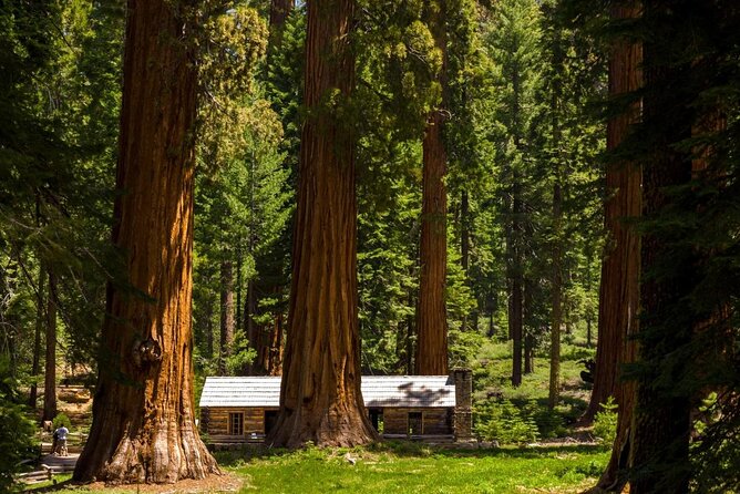 Full-Day Small Group Hiking Tour of Yosemite High Country and Mariposa Grove