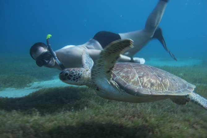 Full-Day Small-Group Martinique Catamaran Tour