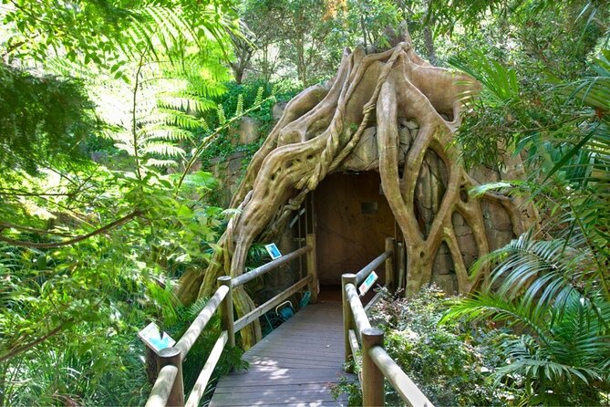 Full-Day Small-Group Outdoor Adventure. Tamborine Mountain  – Brisbane