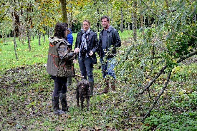 Full-Day Small-Group Truffle Hunting in Tuscany With Lunch - Good To Know