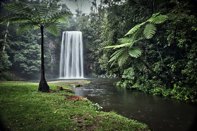 4 Best Tours In Palm Cove