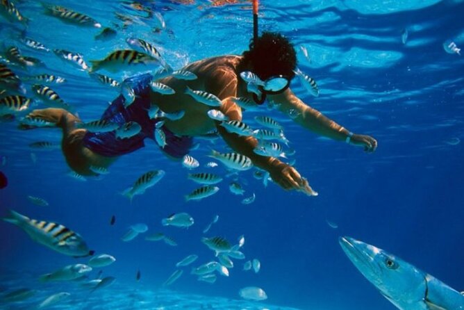 Full-Day Tour Cozumel in Catamaran With Snorkel and Club Playa Mia