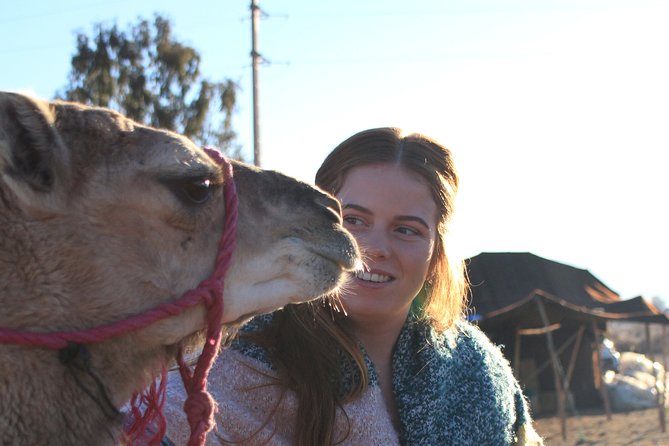 Full-Day Tour in Atlas Mountain From Marrakech With Lunch - Good To Know