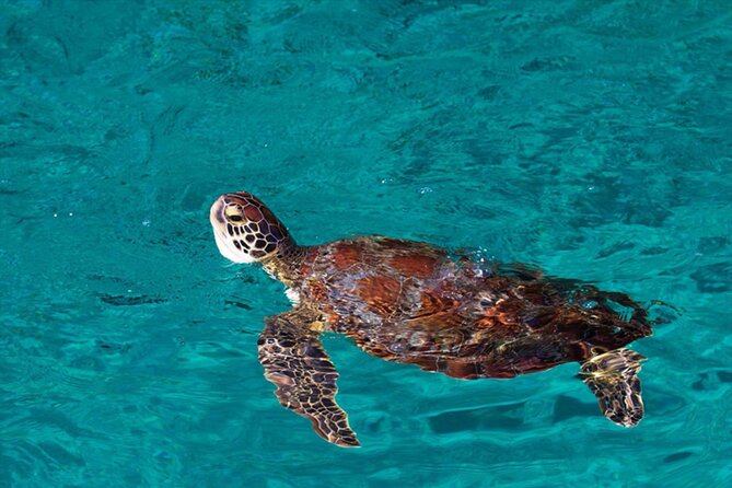 Full Day Tour in Similand Island