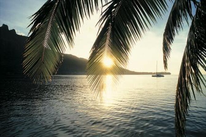 3 Best Full-Day Tours In Moorea