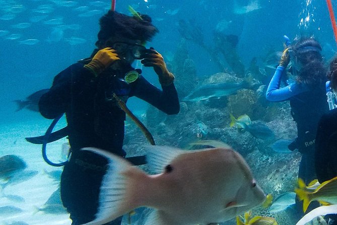 Full-Day Tour of Florida Keys Including Aquarium Encounters From Key West - Overview of the Full-Day Tour