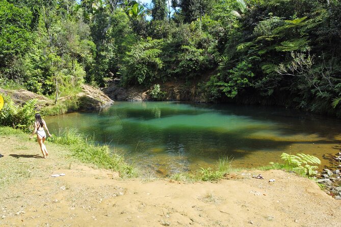 Full-Day Tour of Guavate and Charco Azul in Puerto Rico