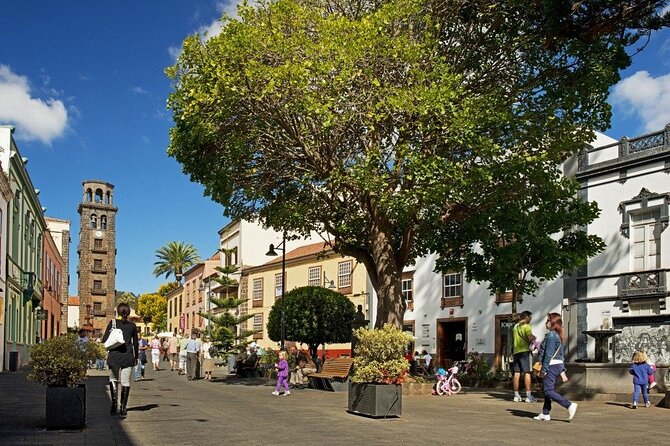 Full Day Tour of Santa Cruz and San Cristóbal De La Laguna - Good To Know