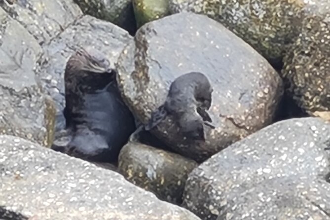2 Best Full-Day Tours In Greymouth