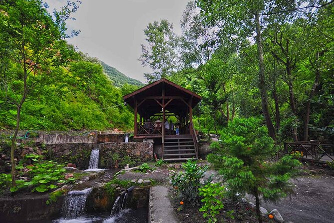 Full Day Tour Sapanca and Masukiye From Istanbul - Tour Itinerary