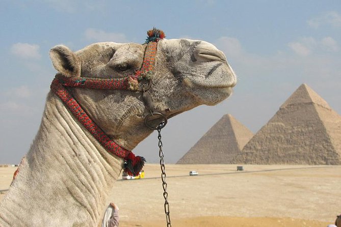 Full-Day Tour to Ancient Egypt - Good To Know
