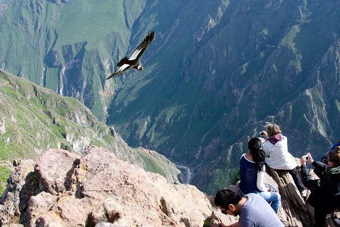 Full Day Tour to Colca From Arequipa - Good To Know