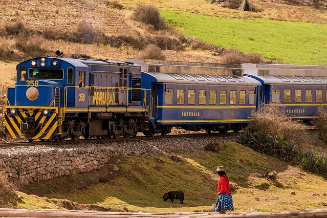 Full-Day Tour to Machu Picchu by Expedition or Voyager Train - Inclusions
