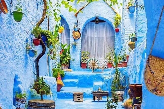 Full-Day Tour to the Blue City Chefchaouen on Small-Group