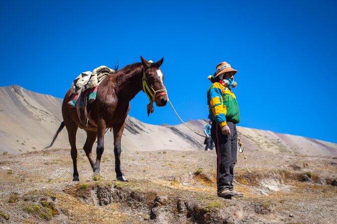 Full Day Tour to the Mountain of Colors From Cusco - Pickup Information