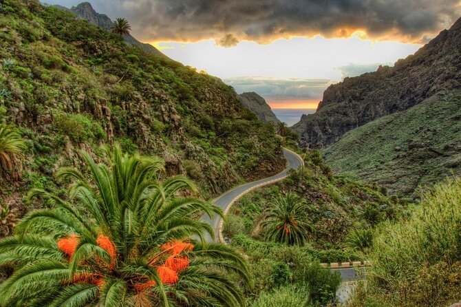 Full Day Tour With Certified Guide in Tenerife