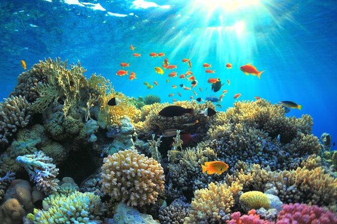 Full-Day Tour With Snorkeling on Surin Island From Khao Lak