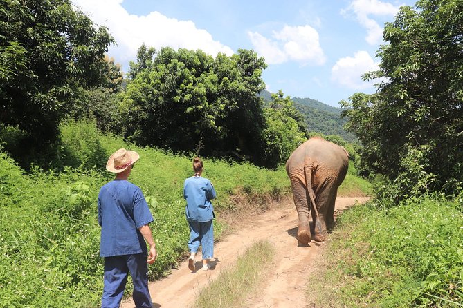 Full Day Visit Chiang Mai Eco Elephant Care - Good To Know