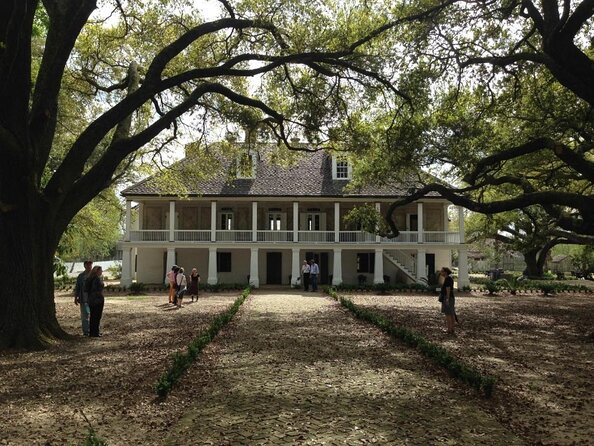 Full-Day Whitney Plantation & Large Airboat Swamp Tour W/Transfer