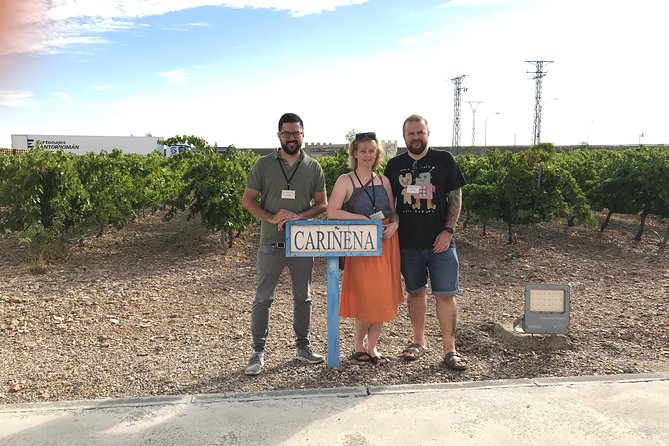 Full-Day Wine Excursion and Visit Goya Birthplace - Exploring the Historic Goya Birthplace
