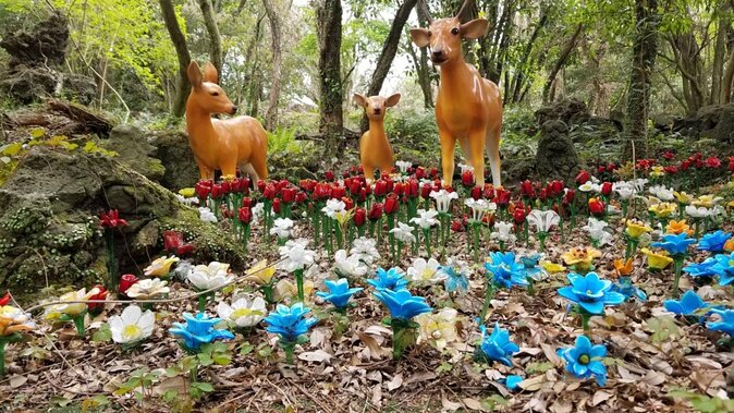 Full Package Tour of All Areas of Jeju Island-(East &South &West)