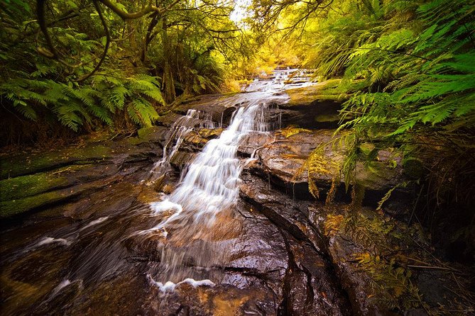 Fully Inclusive Blue Mountains Private Tour Inc Scenic World & Featherdale Entry - Good To Know