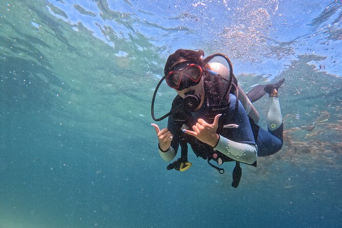 Fun Dive (1 Tank) in Cabo San Lucas