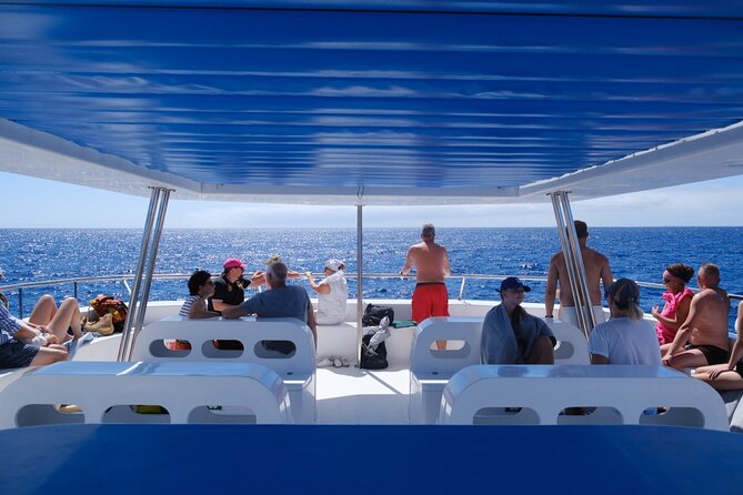 Funchal Islas Desertas Speedboat Half-Day Tour - Madeira