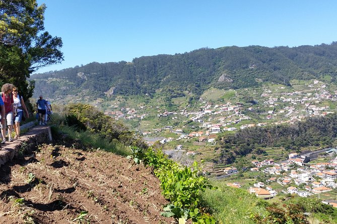 Funchal Small-Group Marocos to Mimosa Valley Hike - Good To Know