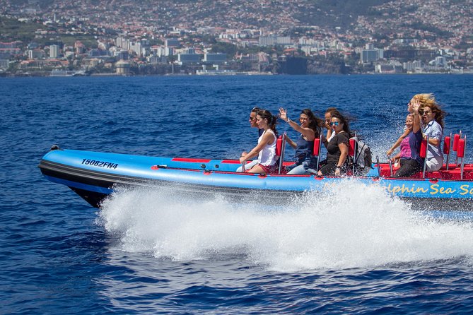 Funchal Speedboat Sealife Tour - Madeira