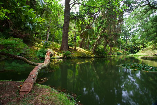 Furnas Hot Springs Full-day Tour - Good To Know