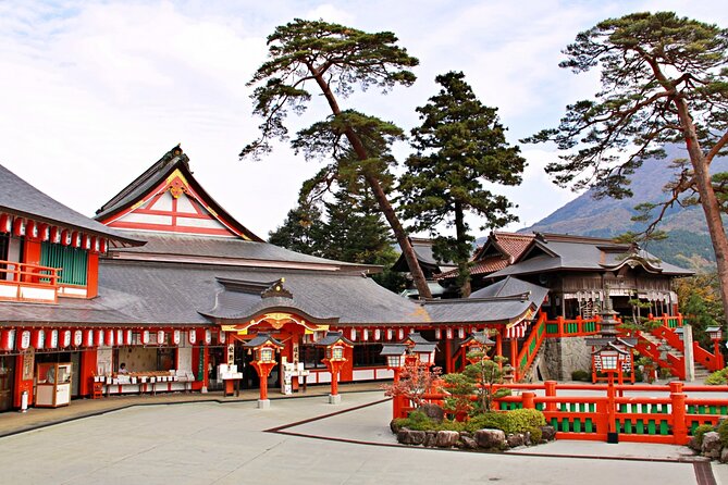 Fushimi Inari Mountain Hiking Tour With a Local Guide - Good To Know