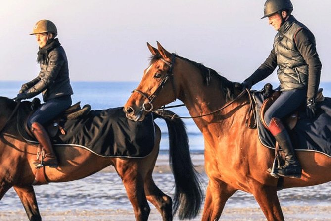 Gallop on Deauville Beach