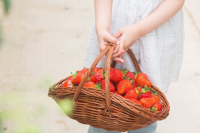 Ganghwado ActivityGinseng/Strawbessy Experience Day Tour - Good To Know