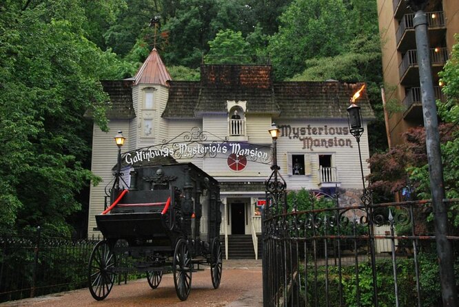 7 Best Tours In Gatlinburg