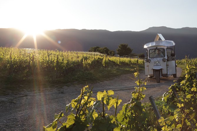 Geneva Panoramic and Tasting Vineyards Tour in a TukTuk (electric) - Good To Know
