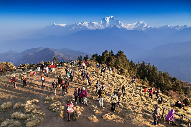 Ghorepani Poon Hill Sunrise Trek - Good To Know