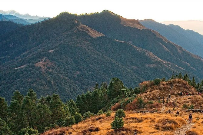 Ghorepani Poon Hill Trek - Trek Difficulty Level