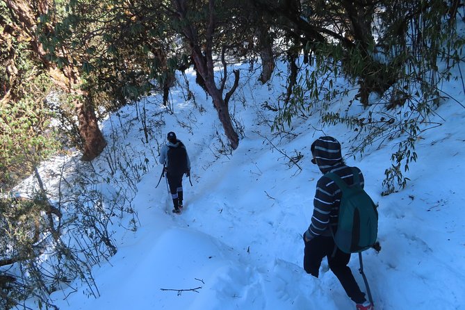 Ghorepani Punhill Yoga Trek - Overview of the Ghorepani Punhill Yoga Trek