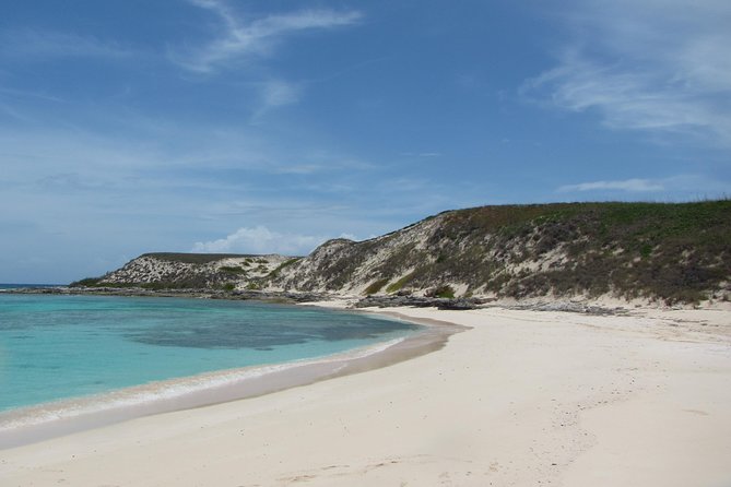 Gibbs Cay Stingray and Conch Dive Adventure - Customer Reviews and Recommendations