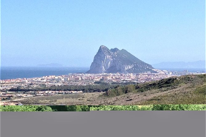 Gibraltar Private Tour From Marbella or Malaga - Tour Highlights