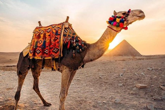 Giza Private Sunrise Pyramid Camel Ride  – Bawiti