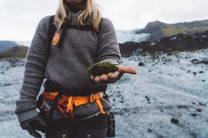 Glacier Encounter in Iceland
