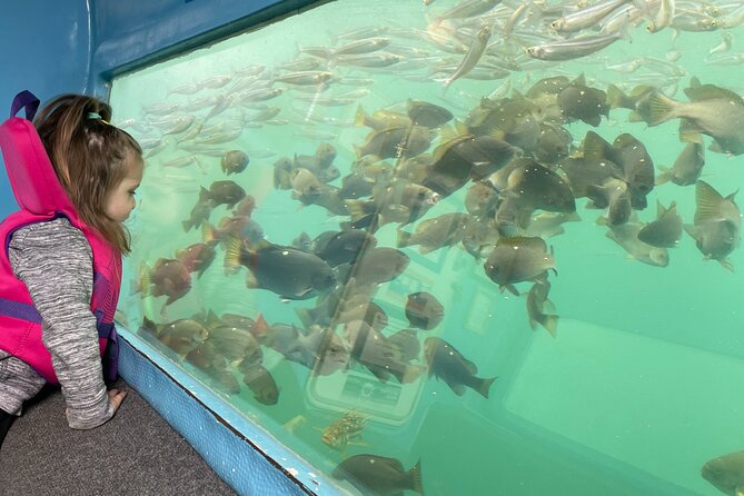 Glass Bottom Boat Ride in Redondo Beach