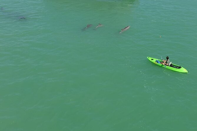 Glass Bottom Kayak Rental in St. Pete Beach